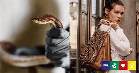 lv snake slaughterhouse|Gucci And Louis Vuitton Leather Linked To Barbaric Lizard And .